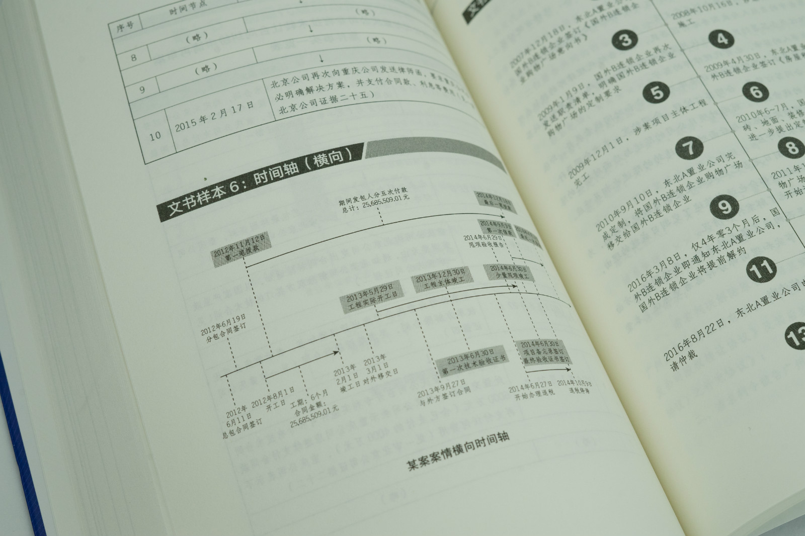 诉讼代理55步 案件流程管理 —— 律师实务精要与技巧指南